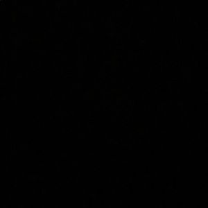 Meet your Posher, Raegan